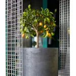 Кашпо Delight Collection TOPPER TOPPER NERO