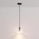 Подвесной светильник Delight Collection MT8603 MT8603 black