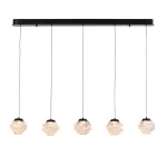 Подвесной светильник Delight Collection MD25030003-5B matt black/clear