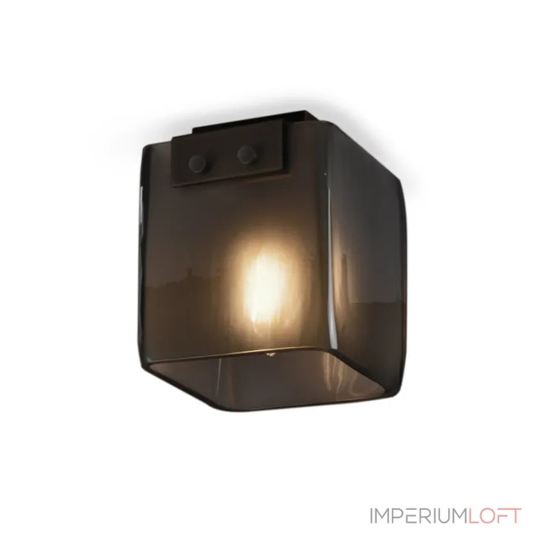 Потолочный светильник Delight Collection 5061C black/smoky