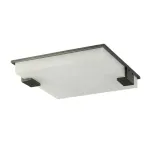 Потолочный светильник Delight Collection 8212C 8212C/500 black/white