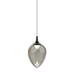 Подвесной светильник Delight Collection MD24001012 MD24001012-1A black/smoky