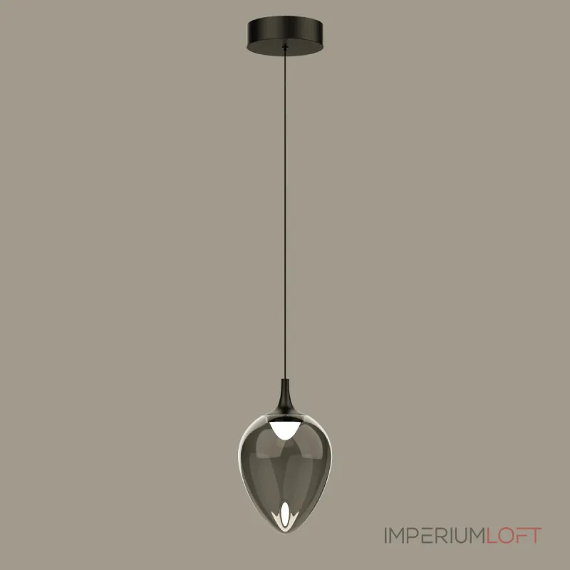 Подвесной светильник Delight Collection MD24001012 MD24001012-1A black/smoky Подвесной светильник Delight Collection MD24001012 MD24001012-1A black/smoky