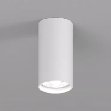 Накладной светильник Denkirs DK2005 DK2008-WH Накладной светильник Denkirs DK2005 DK2008-WH