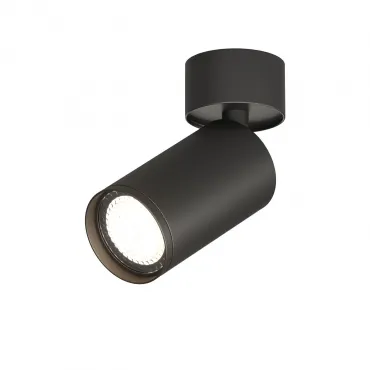 Светильник на штанге Denkirs DK2029 DK2029-BK Цвет арматуры черный Цвет плафонов прозрачный