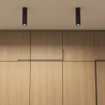 Накладной светильник Denkirs DK2000 DK2052-BK Цвет плафонов черный Цвет арматуры черный