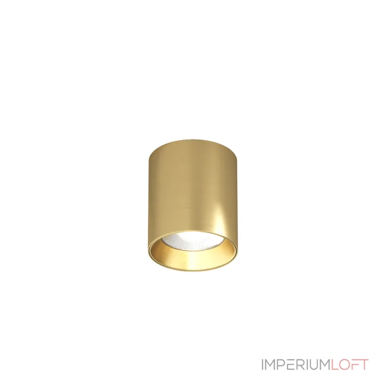 Потолочный светильник Denkirs SHINE TUBE DK2610-SB Потолочный светильник Denkirs SHINE TUBE DK2610-SB