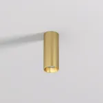 Потолочный светильник Denkirs SHINE TUBE DK2615-SB