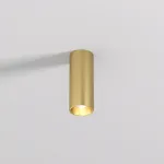 Потолочный светильник Denkirs SHINE TUBE DK2615-SB