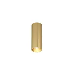 Потолочный светильник Denkirs SHINE TUBE DK2615-SB