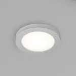 Встраиваемый светильник Denkirs DK3012 DK3012-AL