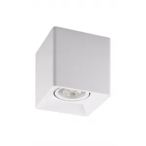 Накладной светильник Denkirs DK303 DK3030-WH Цвет плафонов белый Цвет арматуры белый