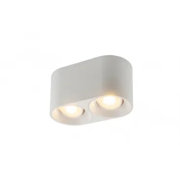Накладной светильник Denkirs DK3020WW DK3036-WH