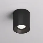 Накладной светильник Denkirs DK304 DK3040-BK Цвет арматуры черный Цвет плафонов черный