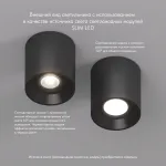 Накладной светильник Denkirs DK304 DK3040-BK Цвет арматуры черный Цвет плафонов черный