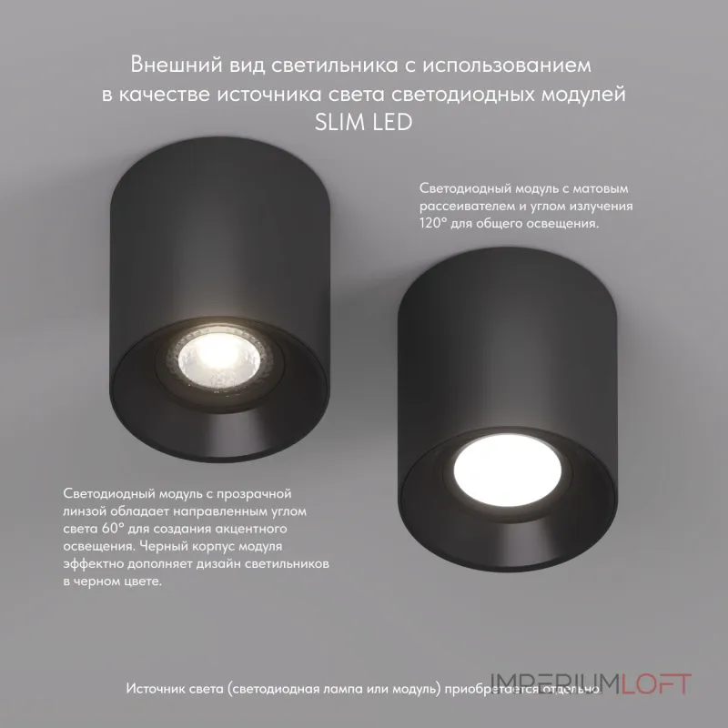 Накладной светильник Denkirs DK304 DK3040-BK Цвет арматуры черный Цвет плафонов черный