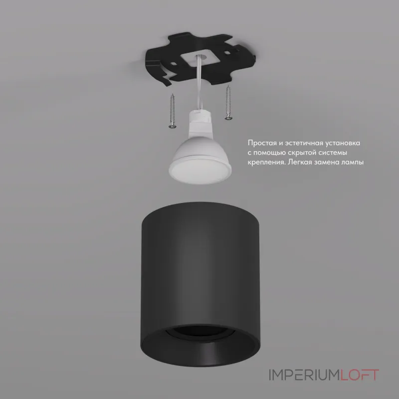 Накладной светильник Denkirs DK304 DK3040-BK Цвет арматуры черный Цвет плафонов черный