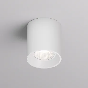 Накладной светильник Denkirs DK3040 DK3090-WH Цвет плафонов белый