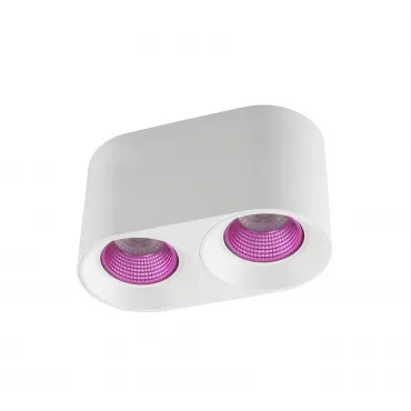 Накладной светильник Denkirs DK3020WPI DK3096-WH+PI Цвет плафонов белый