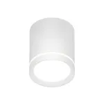 Накладной светильник Denkirs DK4016 DK4013-WH