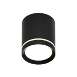 Накладной светильник Denkirs DK401 DK4016-BK цвет арматуры черный цвет плафонов черный