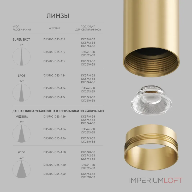Светильник на штанге Denkirs SHINE SPOT DK5740-SB
