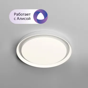 Потолочный светильник Denkirs DK2045 DK6516-WH Потолочный светильник Denkirs DK2045 DK6516-WH
