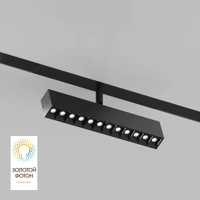 Светильник на штанге Denkirs DK8006 DK8006-BK Цвет арматуры черный Цвет плафонов черный