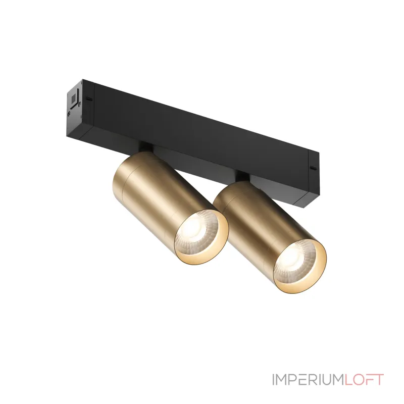 Светильник на штанге Denkirs Smart DK8012-BG