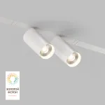 Светильник на штанге Denkirs Smart DK8012-WH