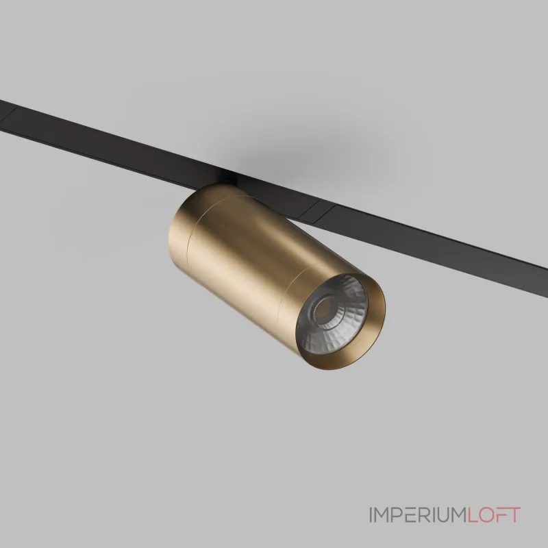 Светильник на штанге Denkirs Smart DK8020-BG от ImperiumLoft Светильник на штанге Denkirs Smart DK8020-BG от ImperiumLoft