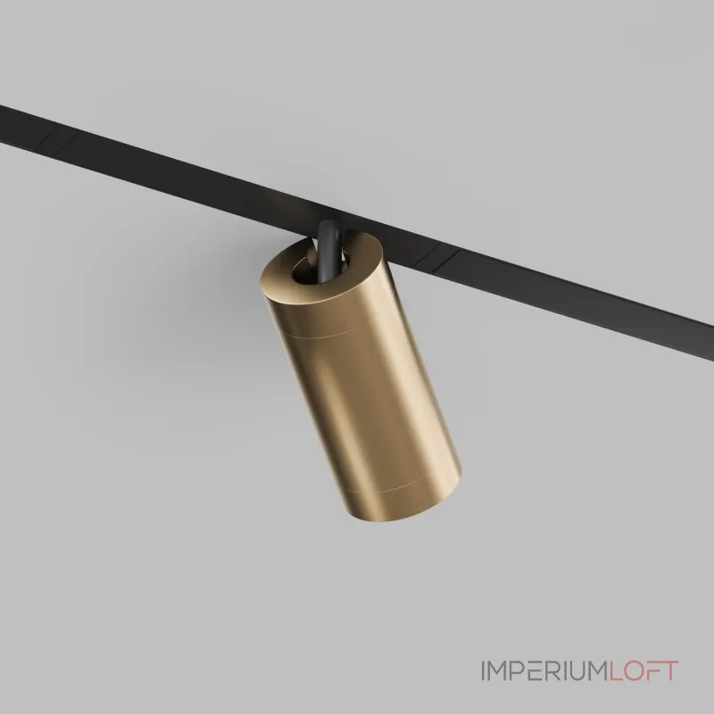 Светильник на штанге Denkirs Smart DK8020-BG от ImperiumLoft Светильник на штанге Denkirs Smart DK8020-BG от ImperiumLoft