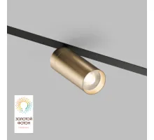 Светильник на штанге Denkirs Smart DK8020-BG Светильник на штанге Denkirs Smart DK8020-BG