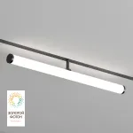 Трековый светильник Denkirs SMART RAY DK8065-BK