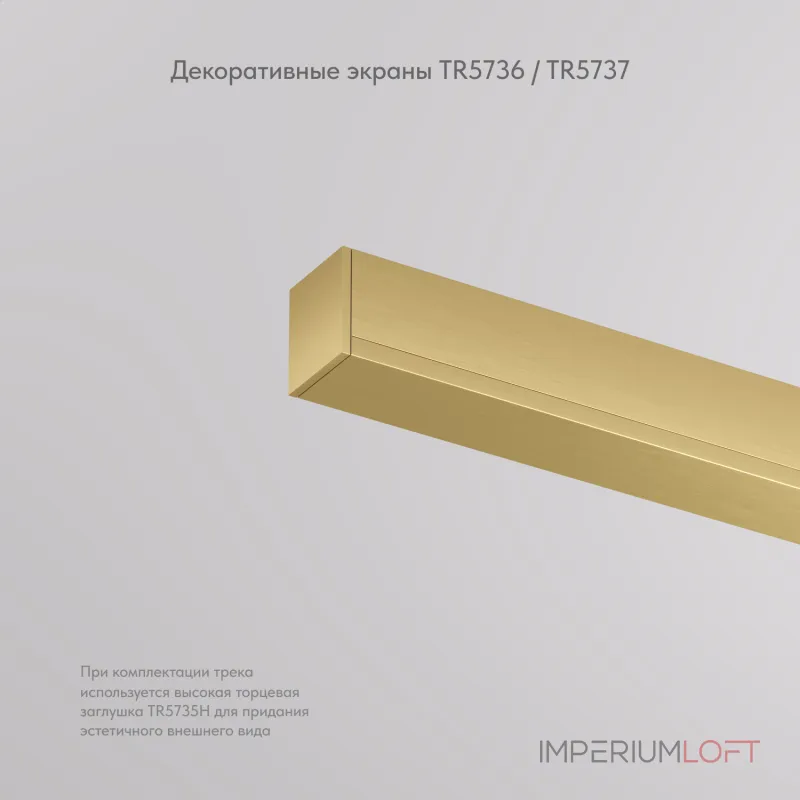 Декоративная заглушка желоба трека, 50см, для трека Denkirs Shine Base TR5737-SB Декоративная заглушка желоба трека, 50см, для трека Denkirs Shine Base TR5737-SB