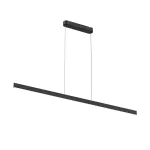 Подвесной светильник Denkirs RAYLINE DK6733-BK