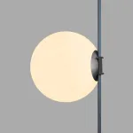 Трековый светильник Denkirs BELTY ORB DK5555-BK
