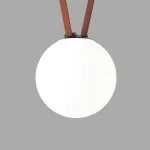 Трековый светильник Denkirs BELTY ORB DK5554-BK