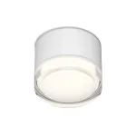Потолочный светильник Denkirs AQUA DK-DH2610-WH