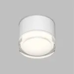 Потолочный светильник Denkirs AQUA DK-DH2610-WH