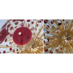 Murano Red Disco Glass Sputnik Chandelier Vistosi от ImperiumLoft