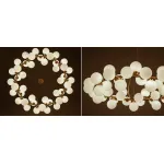 Люстра Milk Bubble Round Chandelier от ImperiumLoft