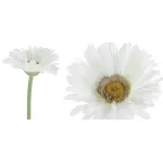 Декоративный искусственный цветок Chamomile