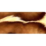 Натуральная шкура антилопы Gemsbok от ImperiumLoft
