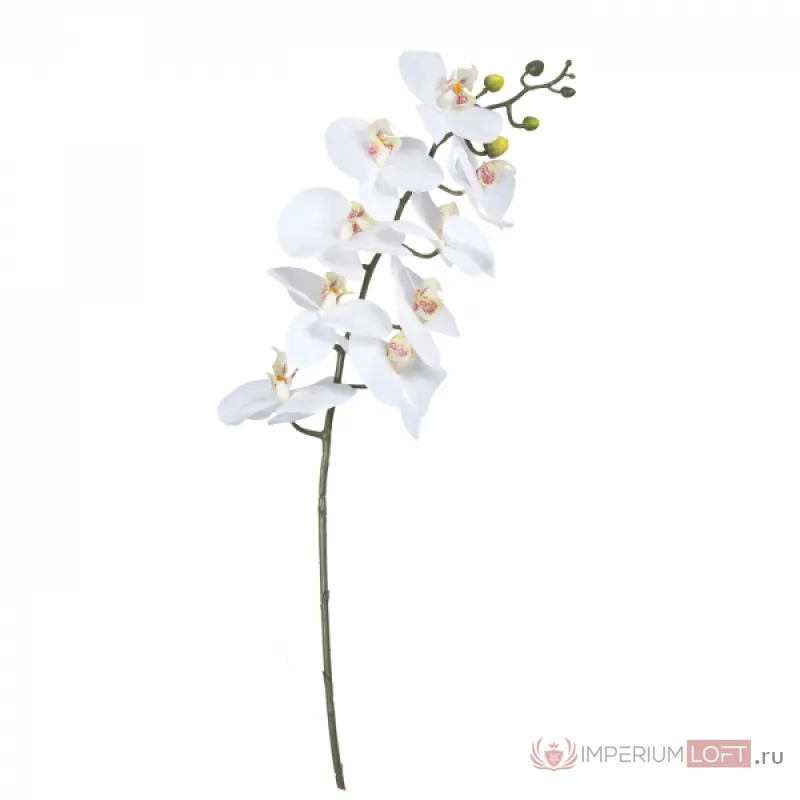 Декоративный искусственный цветок Branch Of White Orchid от ImperiumLoft