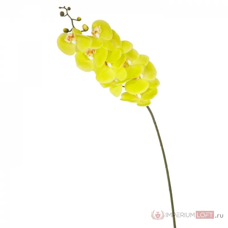 Декоративный искусственный цветок Branch Of Yellow Orchid от ImperiumLoft