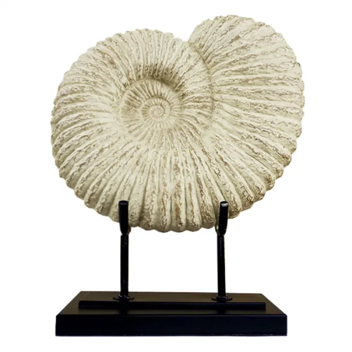 Аксессуар Аммонит Fossil Shell от ImperiumLoft