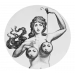 Декоративная тарелка Fornasetti 001 