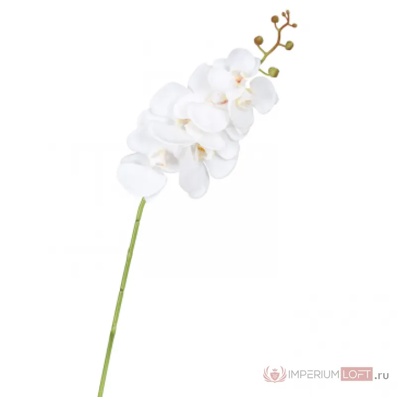 Декоративный искусственный цветок Average White Orchid от ImperiumLoft