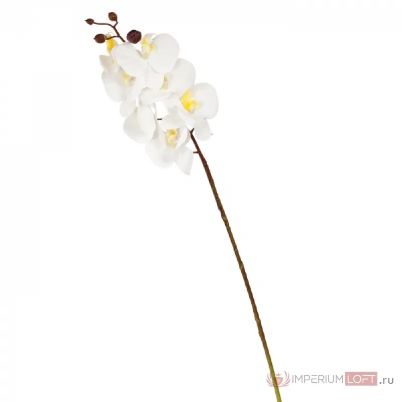 Декоративный искусственный цветок Mini White Orchid от ImperiumLoft